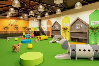 Pet Park