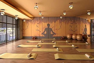 Yoga & Meditation Room
